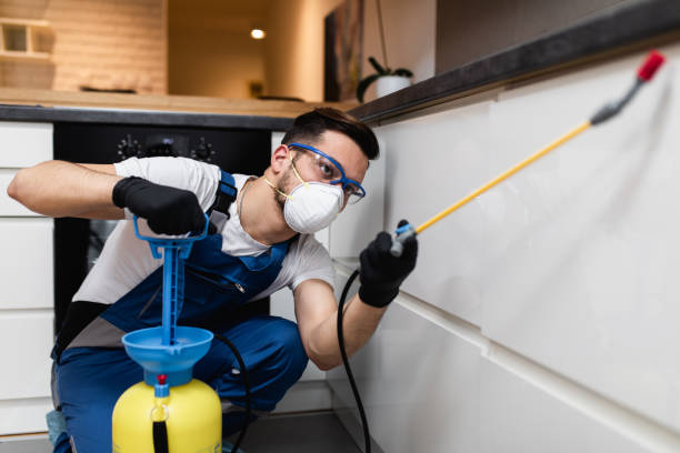 Best Exterminator Services  in Rowlett, TX