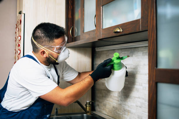 Best Affordable Pest Control Services  in Rowlett, TX