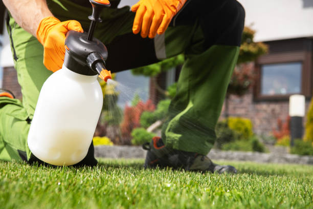 Best Pest Removal Services  in Rowlett, TX
