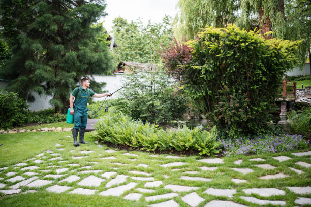 Best Insect Control  in Rowlett, TX
