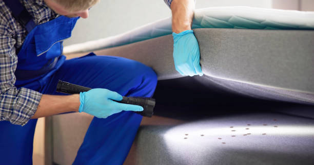 Best Pest Control Near Me in Rowlett, TX