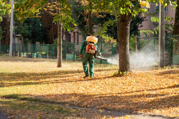 Best Affordable Pest Control Services  in Rowlett, TX
