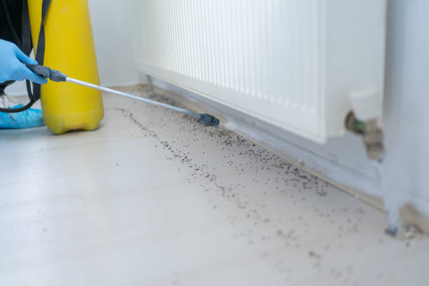 Rowlett, TX Pest Control Company