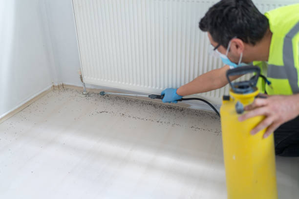 Best Local Pest Control Services  in Rowlett, TX
